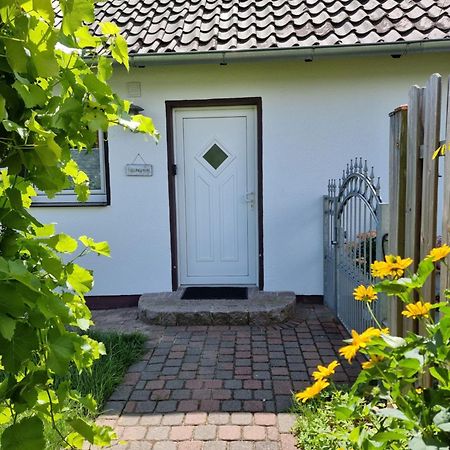 Feel-Good Apartment Close To The City Reppenstedt Extérieur photo